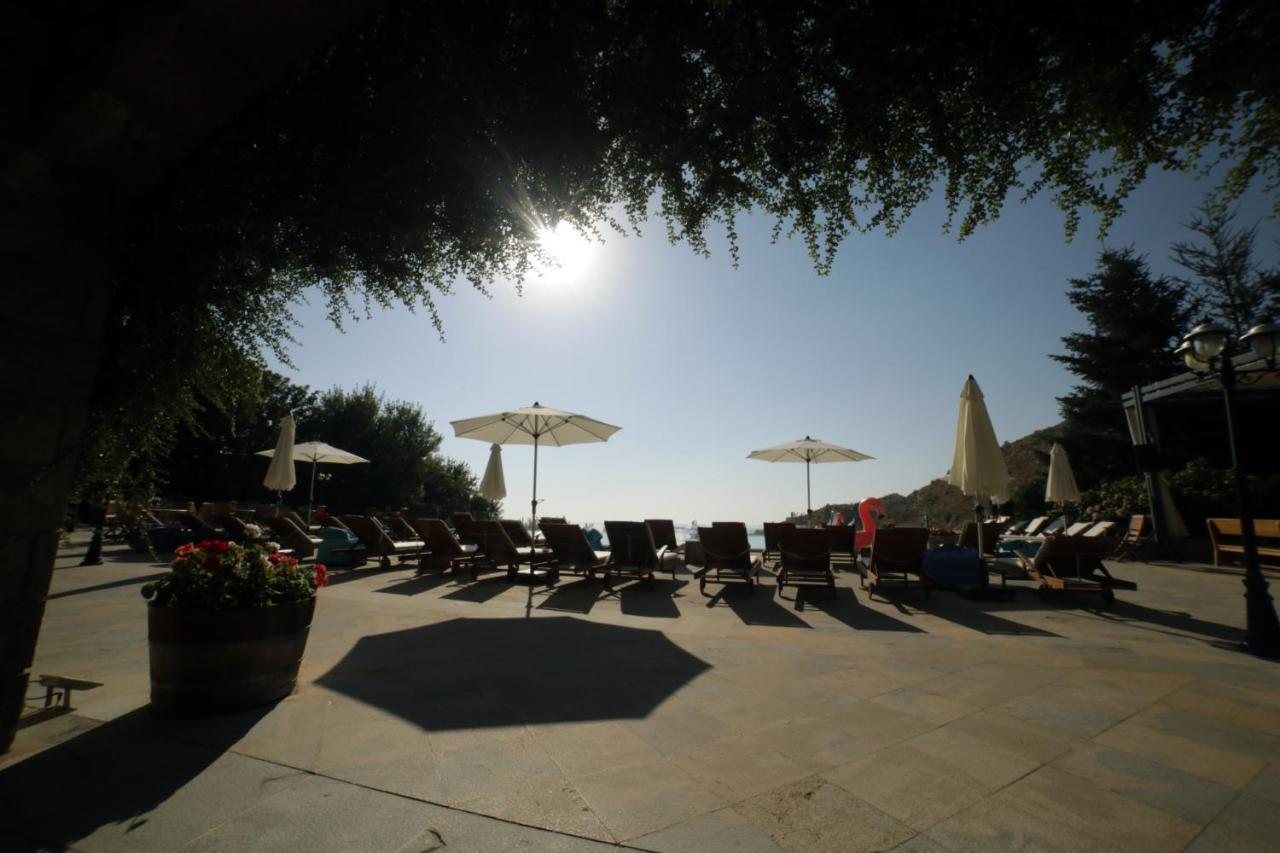 Terre Brune Hotel Mzaar Kfardebian Eksteriør billede